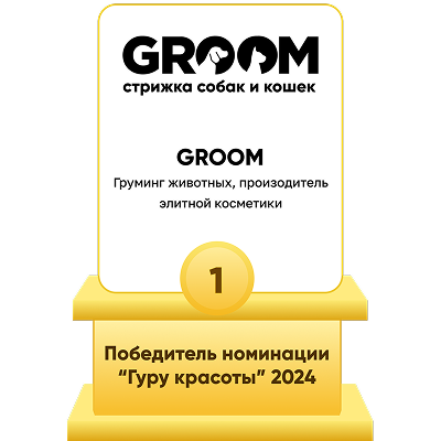 Photo with the award: 'Winner of the «Beauty Guru» award for 2024'